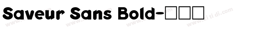 Saveur Sans Bold字体转换